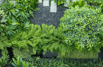 Softscaping - Landschaft Landscape Architecture Service